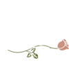 Senso Di Lusso